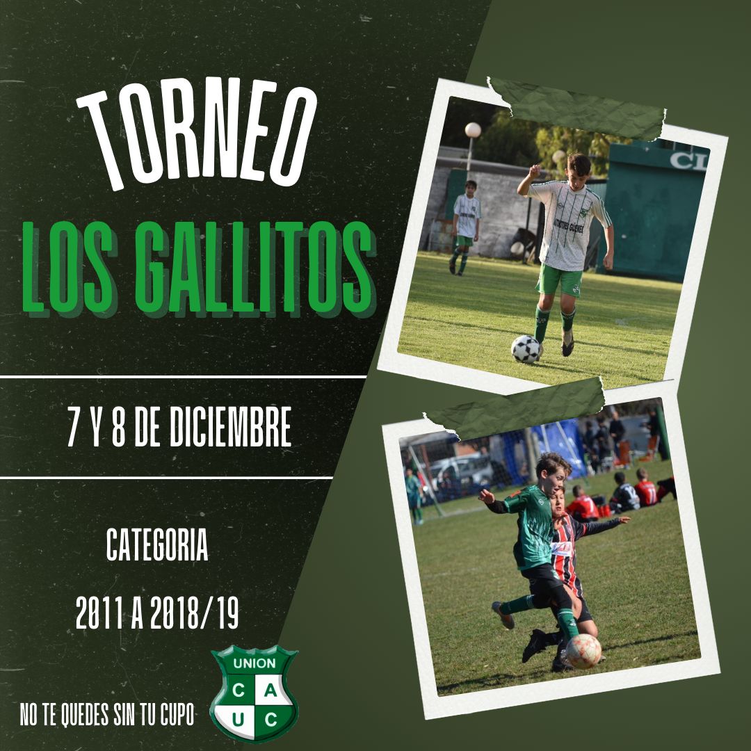 Torneo de Fútbol Infantil ‘Los Gallitos’