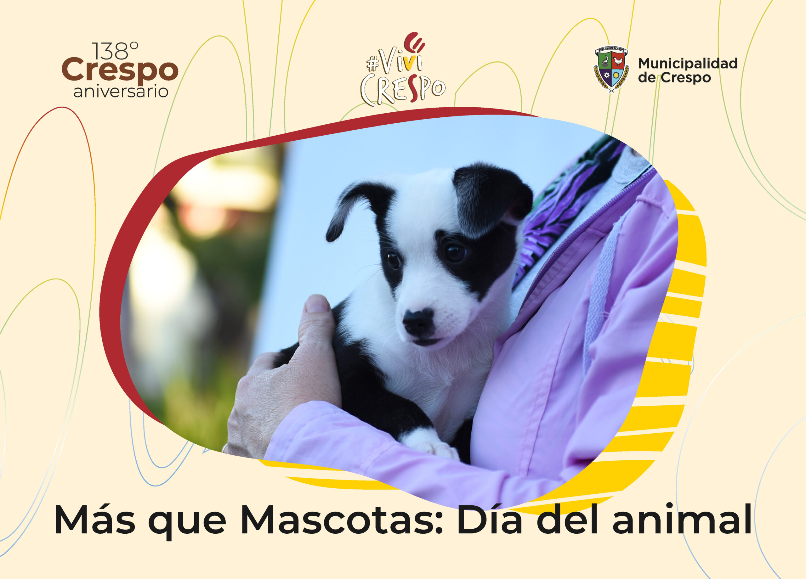 MÁS QUE MASCOTAS: 'DÍA DEL ANIMAL'